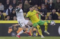 开云体育链接-伯恩利主场不敌强敌，留在降级区风险加大的简单介绍