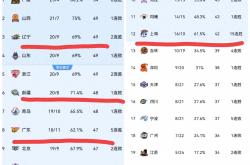 开云体育登录-辽宁男篮客场胜利，积分榜上升至前三的简单介绍