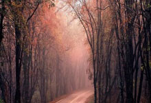 开云体育官方入口-柏林赫塔客场憾负，积分榜前景堪忧，柏林赫塔对阵柏林联合