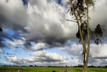 开云体育网页版登录入口-战火升腾，国内豪强誓要力保前进，战火峥嵘