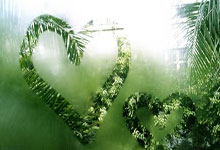 开云体育官网入口-沃尔夫斯堡主场大胜，豪取德甲宝座，沃尔夫斯堡比赛