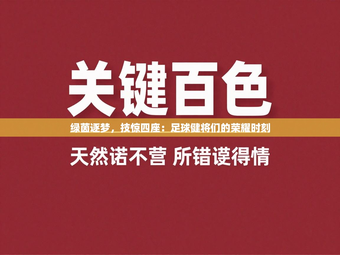 绿茵逐梦,技惊四座:足球健将们的荣耀时刻 第2张