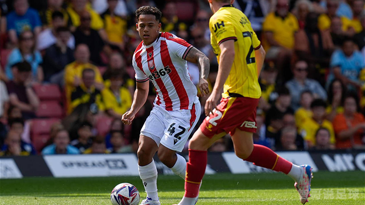 斯托克城主场击败对手，保级希望复苏的简单介绍