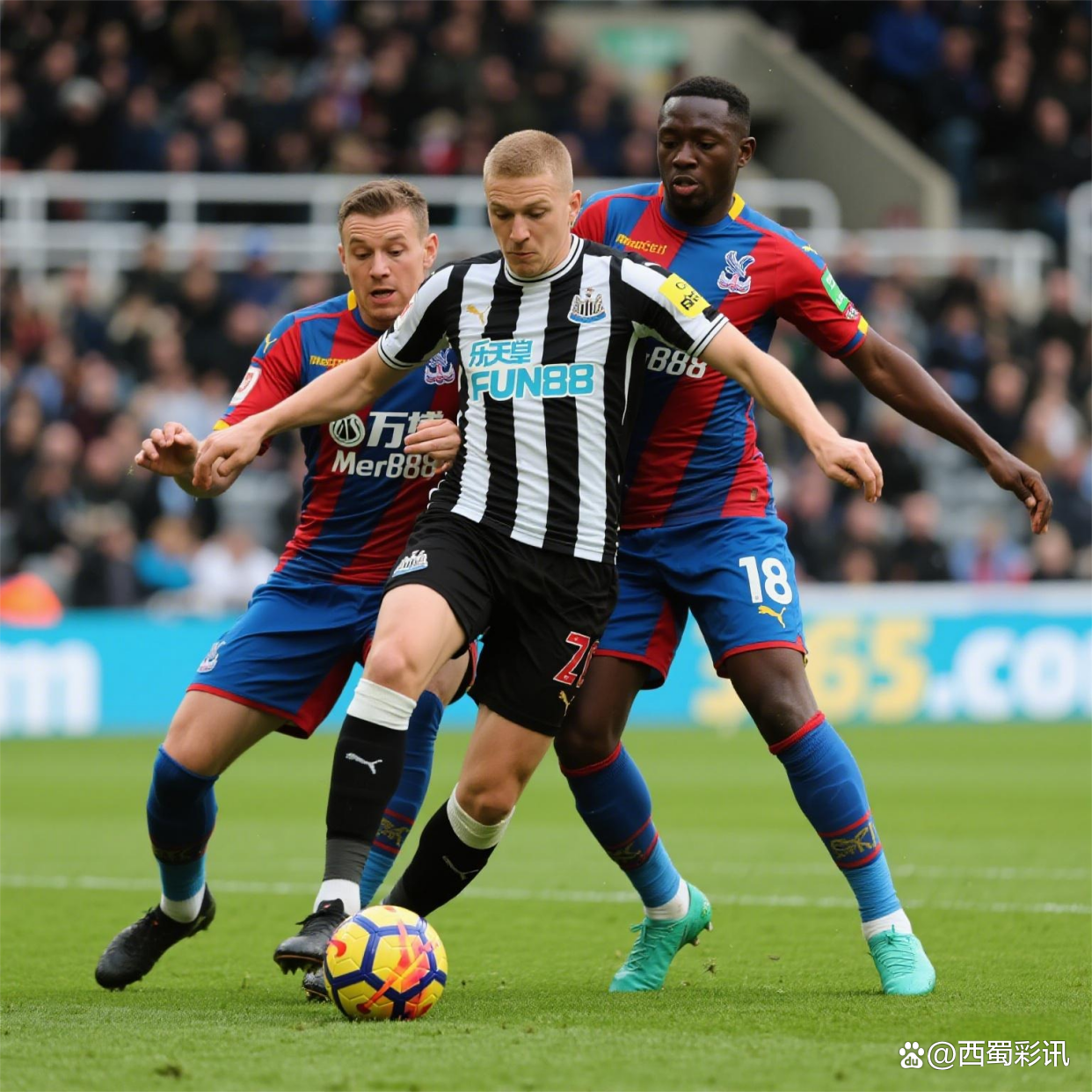 纽卡斯尔客场战平水晶宫,保级前景稍显乐观!的简单介绍 纽卡斯尔客场战平水晶宫,保级前景稍显乐观!的简单介绍